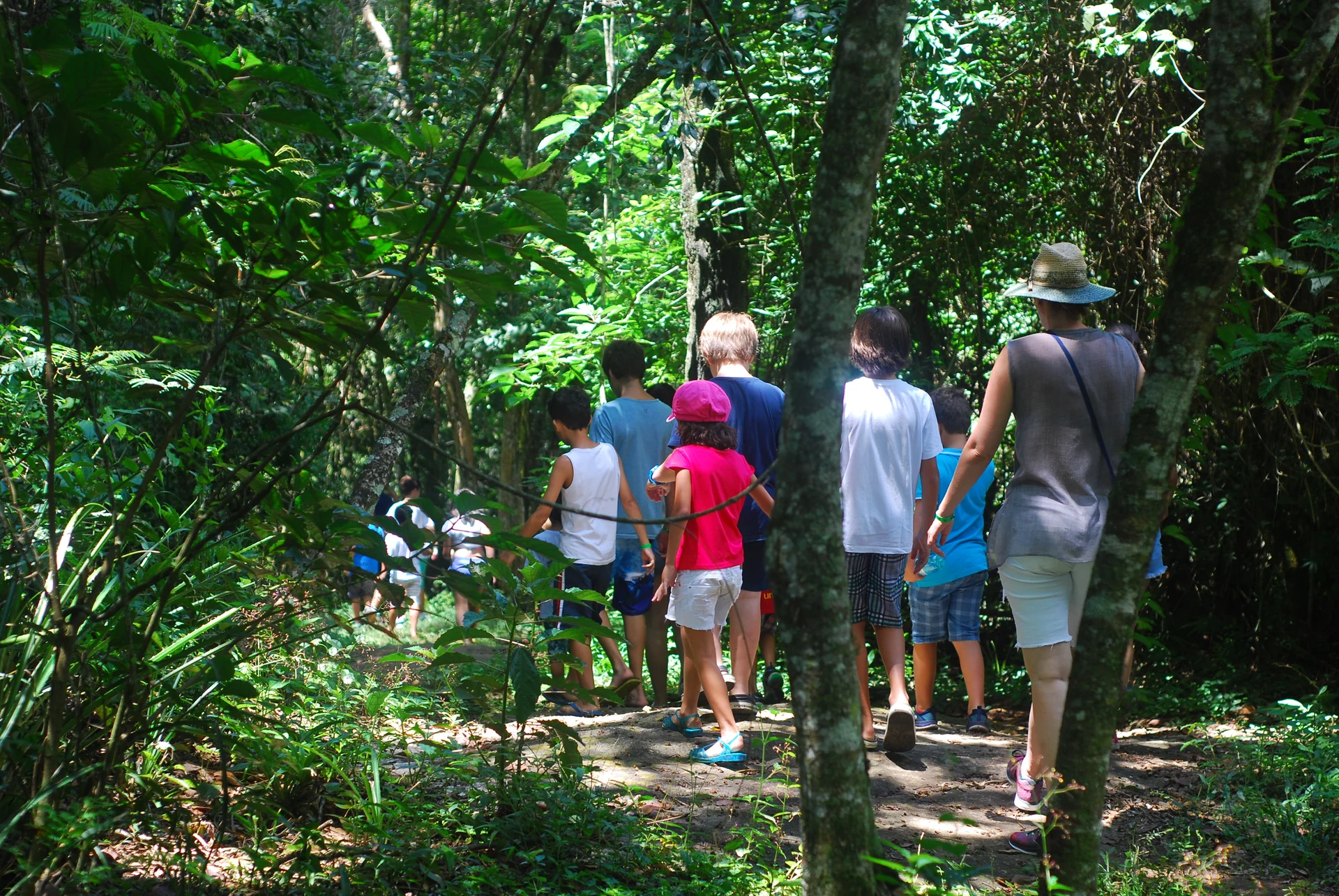 Grupo caminhando pela trilha ecológica da fazenda